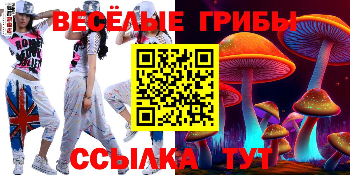 Галлюциногенные грибы Psilocybine cubensis Черногорск