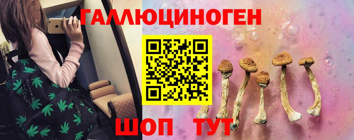 Галлюциногенные грибы Cubensis  Вход с VPN  Псилоцибиновые грибы прущие грибы  наркотики  Черногорск 